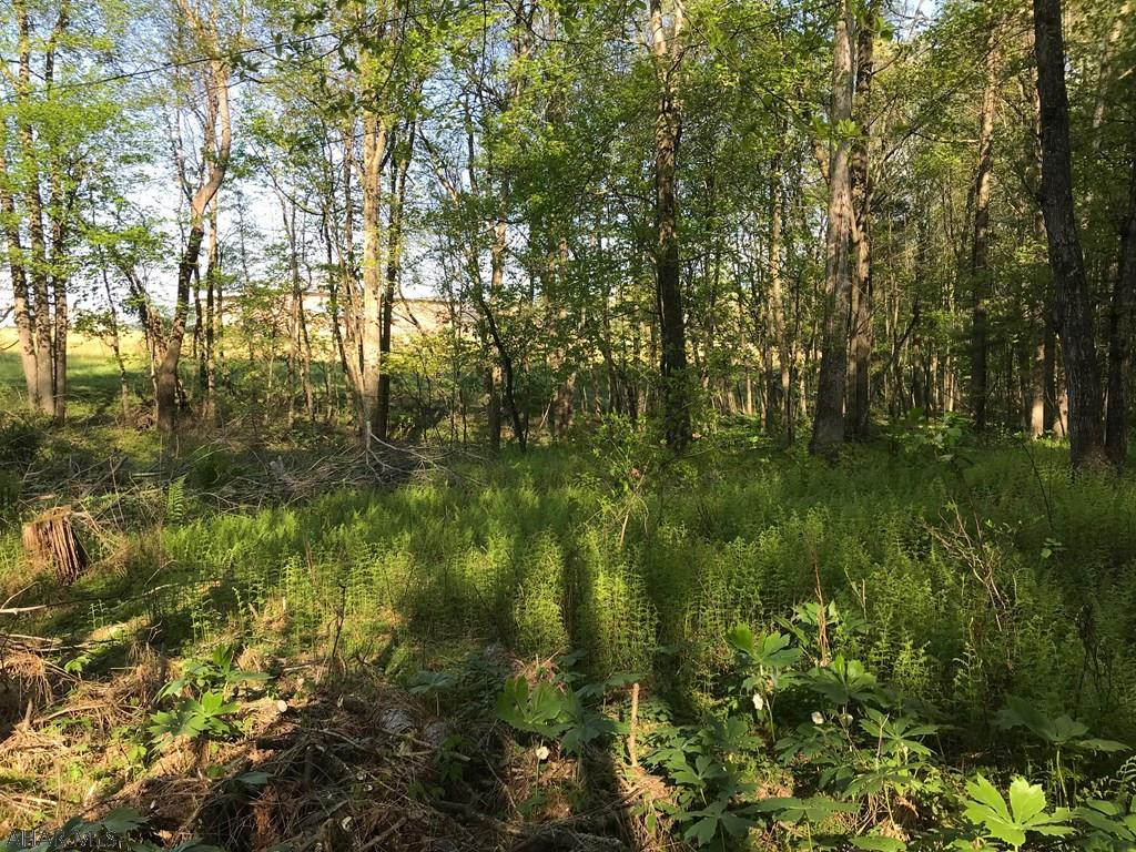 0 Dun Rovin Road Todd, PA 16685 - Photo 5 of 6