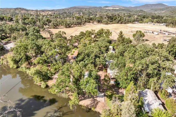 a view of a tree with plants