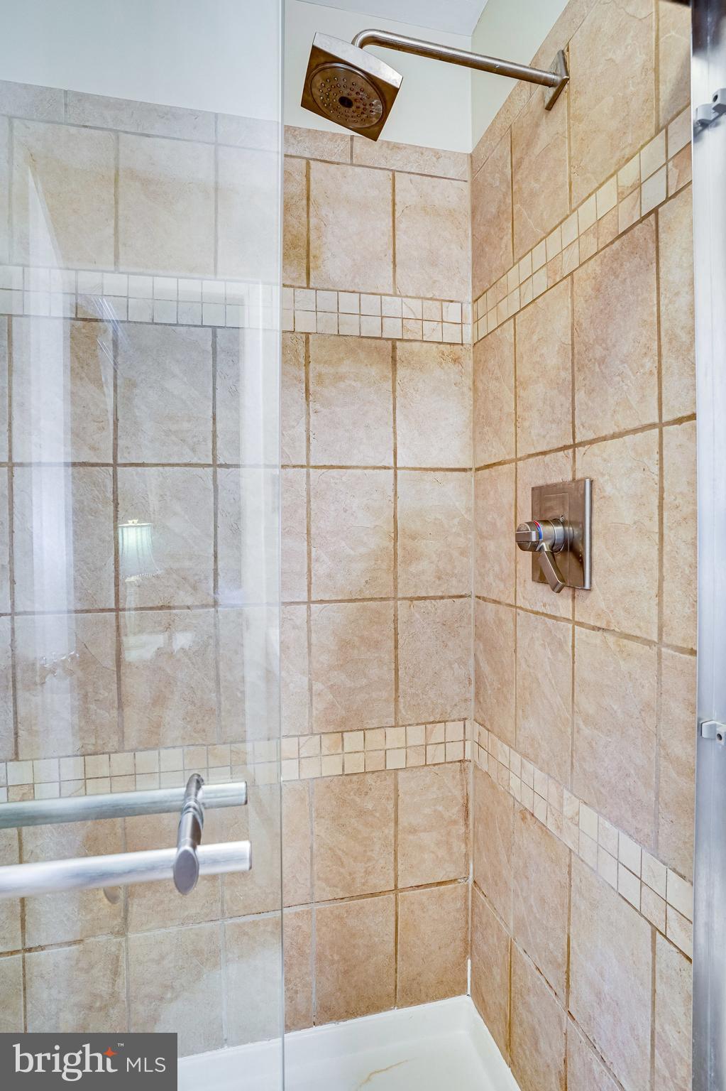 8617 Kerry Lane Springfield, VA 22152 - Photo 31 of 59 Primary Bedroom Walk In Shower