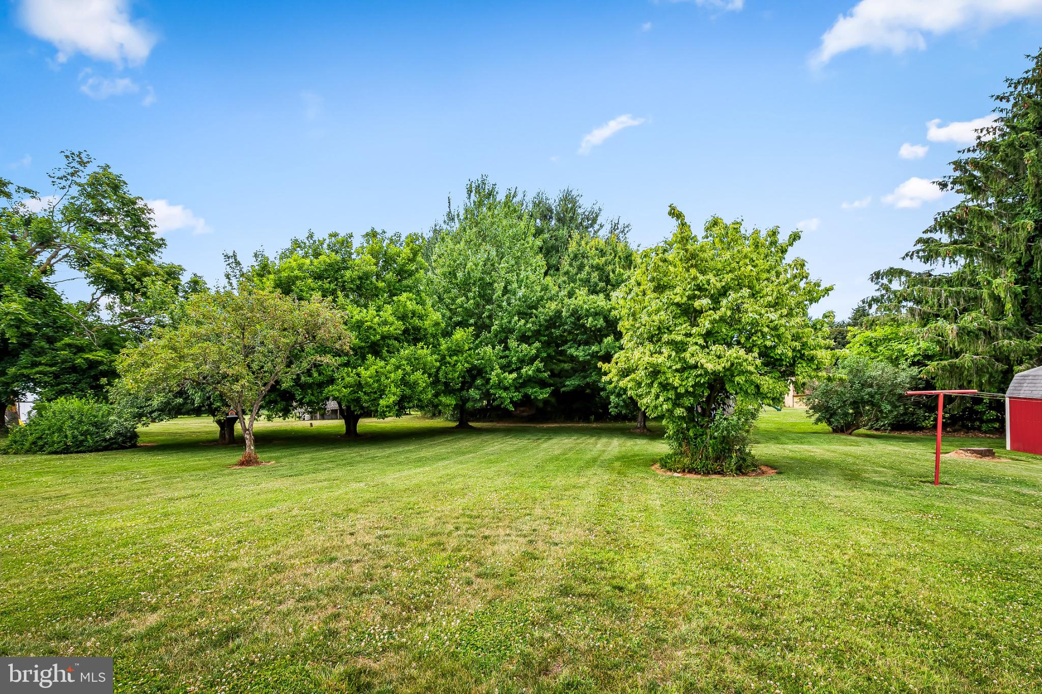 2100 Peterman Road Freeland, MD 21053 - Photo 33 of 36 Lush green oasis with vibrant trees.