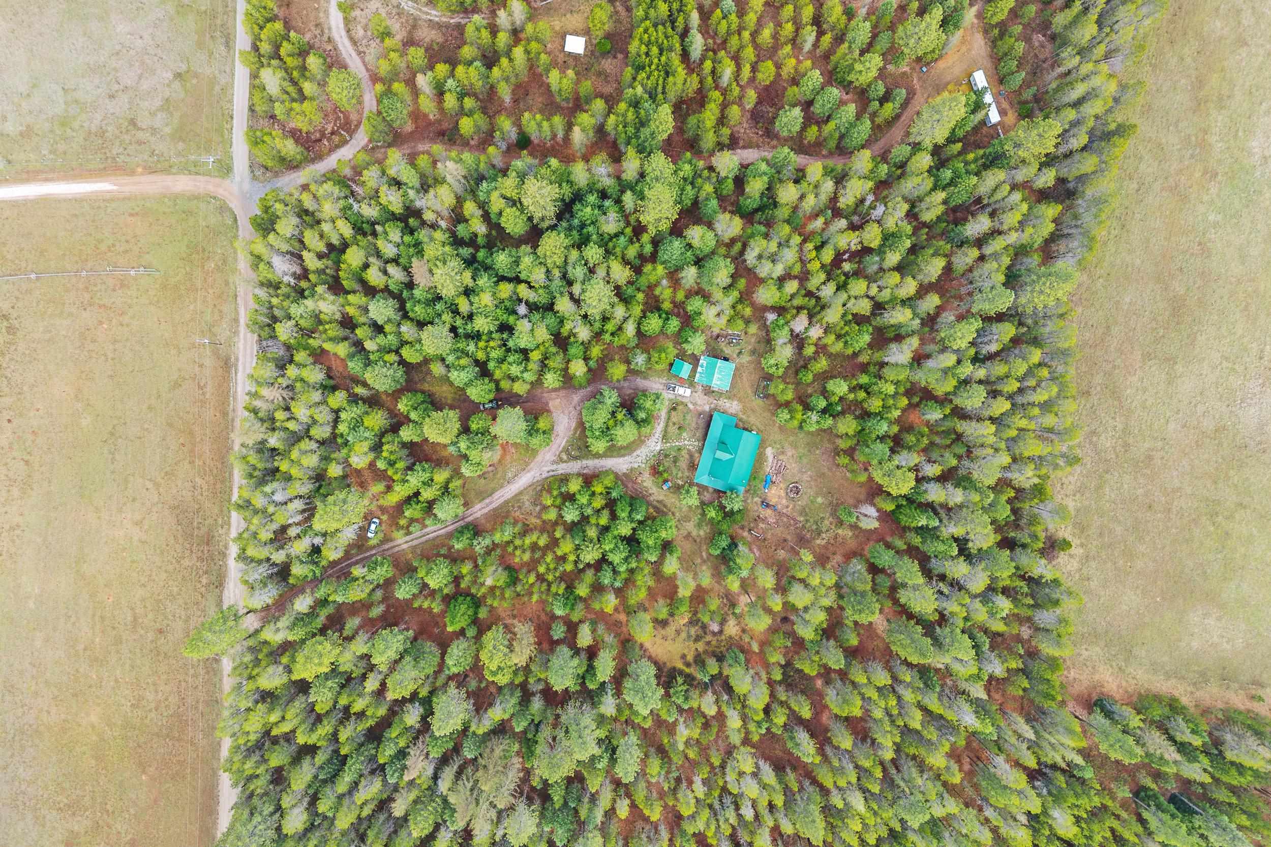 4430 F Springdale Hunters Road Springdale, WA 99173 - Photo 49 of 50