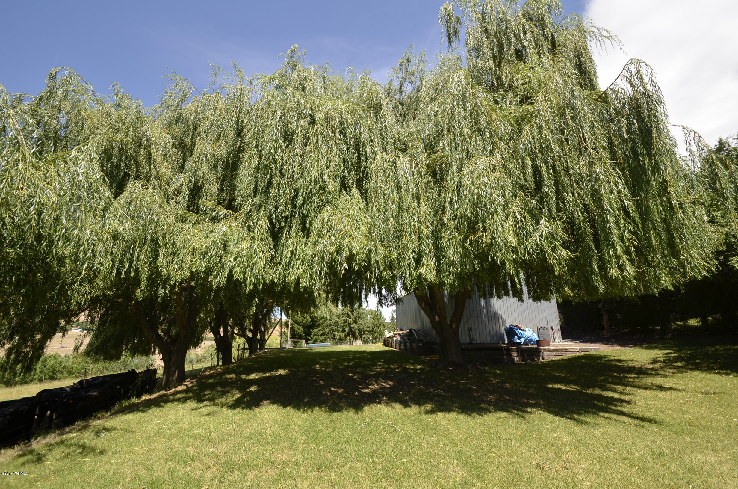 13206 Summitview Ext Road Yakima, WA 98908 - Photo 25 of 29 a view of a outdoor space