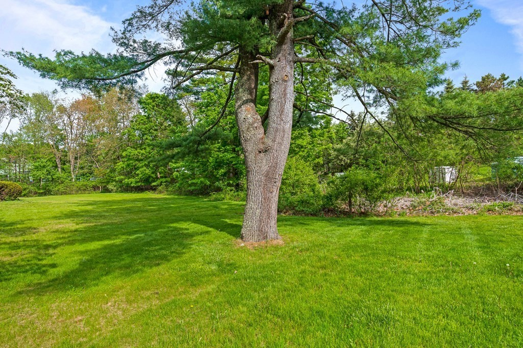 39 Liberty Square Road, Unit D Boxborough, MA 01719 - Photo 21 of 26 a view of a backyard with a garden