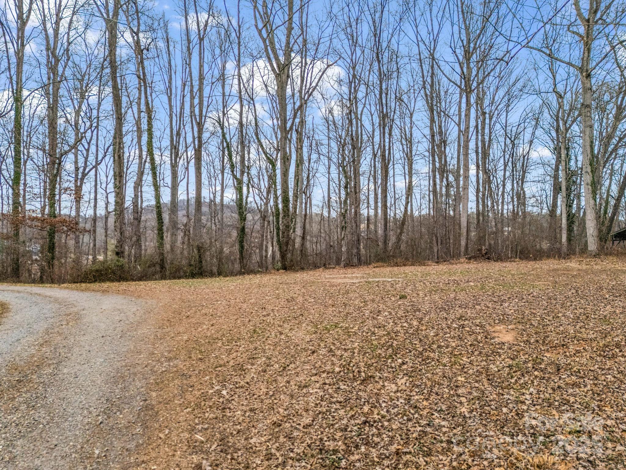 660 Glenn Bridge Road Arden, NC 28704 - Photo 4 of 8 a row of trees with wooden fence