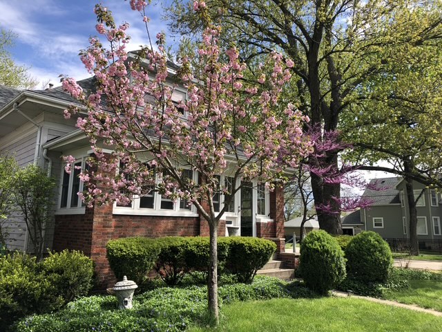 628 East Main Street Morris, IL 60450 - Photo 31 of 32 front view of a house with a tree