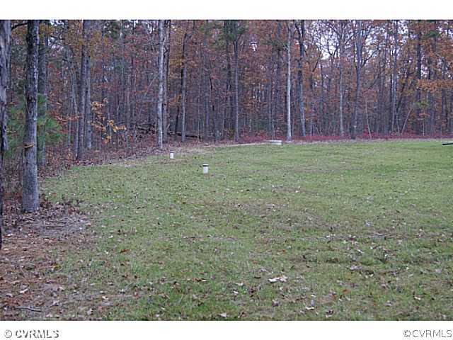 13700 Cedar Creek Road Chesterfield, VA 23838 - Photo 21 of 21 a backyard of a house with lots of green space