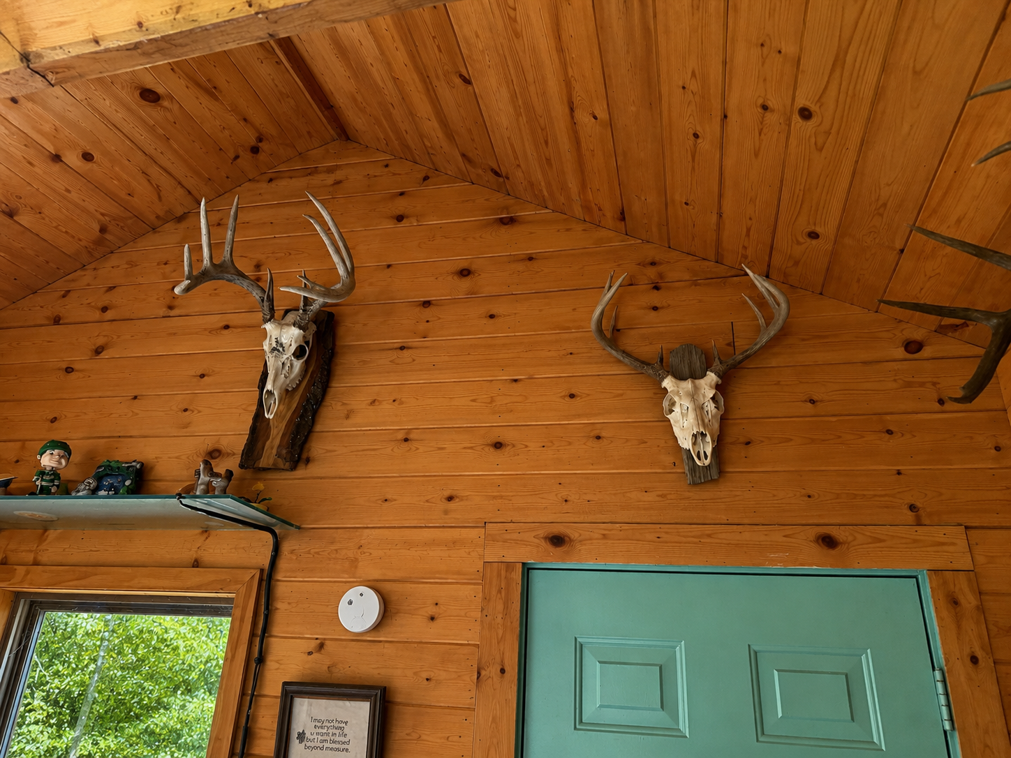 Tbd Chimney Road Nevis, MN 56467 - Photo 12 of 13 Gallery Image 12