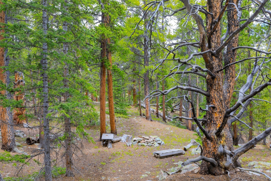 Tbd Dry Gulch Road Fairplay, CO 80440 - Photo 12 of 35 Gallery Image 12