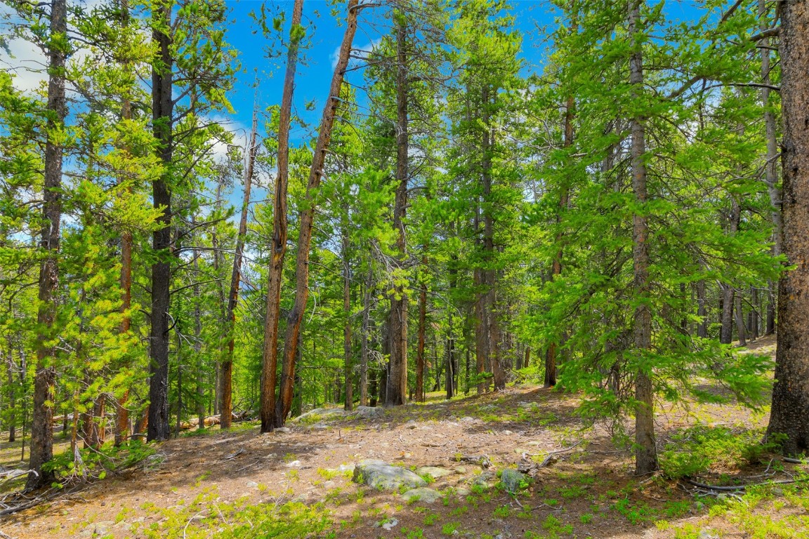Tbd Dry Gulch Road Fairplay, CO 80440 - Photo 19 of 35 Gallery Image 19