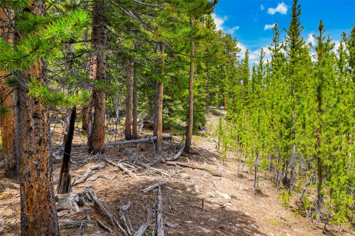 Tbd Dry Gulch Road Fairplay, CO 80440 - Photo 27 of 35 Gallery Image 27