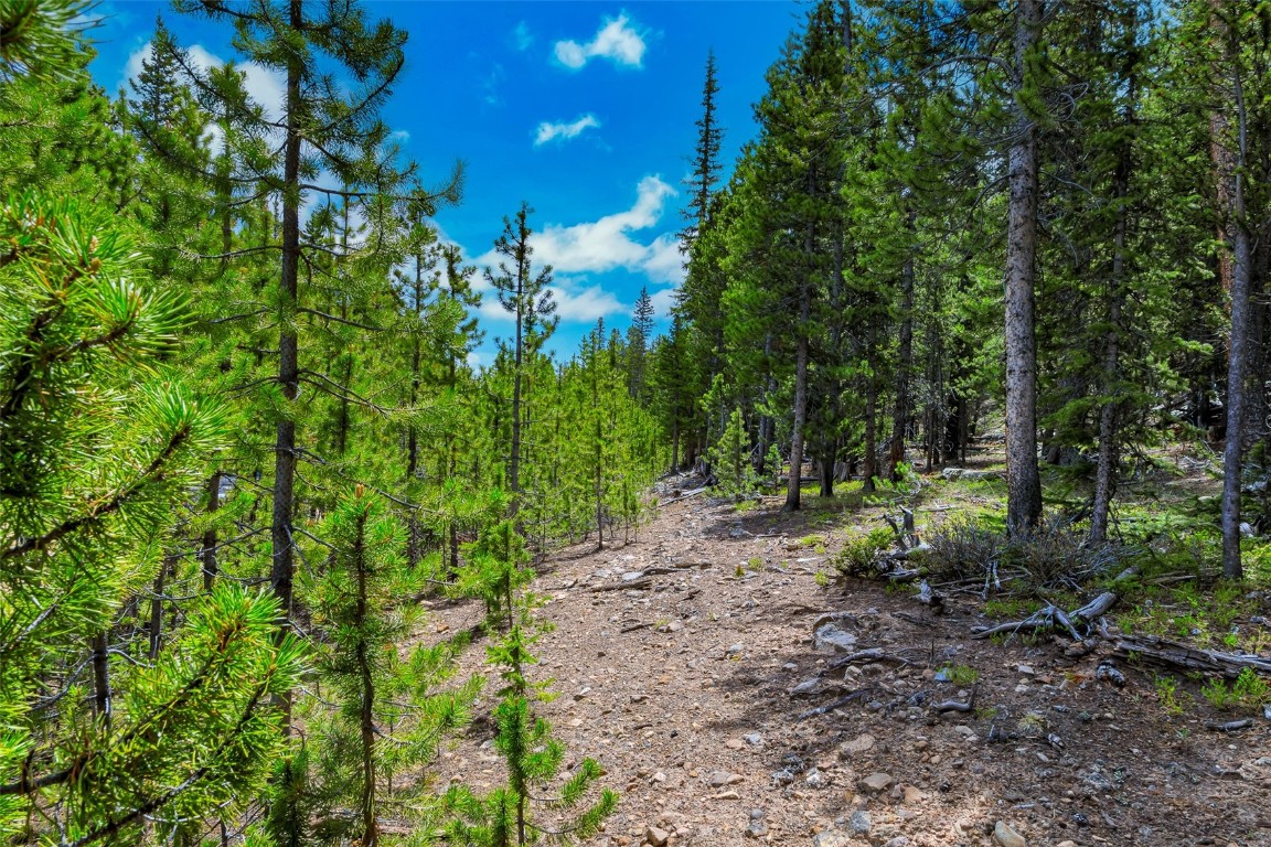 Tbd Dry Gulch Road Fairplay, CO 80440 - Photo 28 of 35 Gallery Image 28