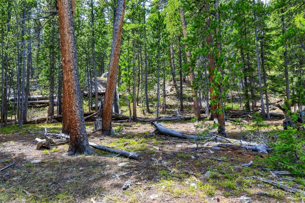 Tbd Dry Gulch Road Fairplay, CO 80440 - Photo 29 of 35 Gallery Image 29