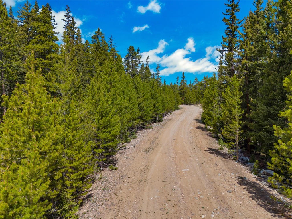 Tbd Dry Gulch Road Fairplay, CO 80440 - Photo 6 of 35 Gallery Image 6