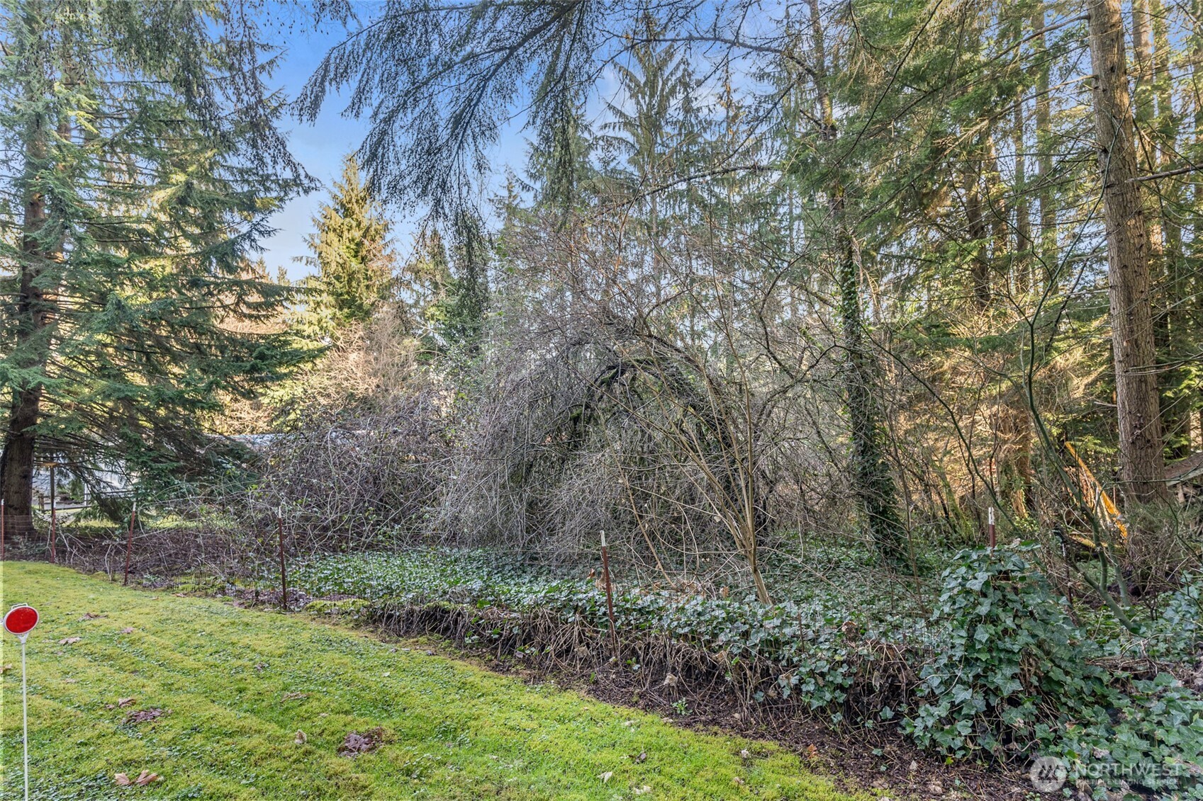 20115 49th Drive Southeast Bothell, WA 98012 - Photo 30 of 35 a backyard of a house with lots of green space