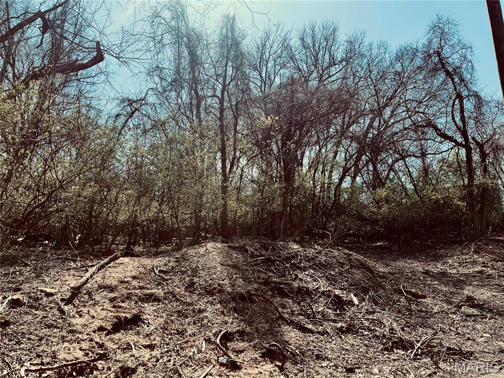 10726 Ridge Avenue St. Louis, MO 63114 - Photo 1 of 5