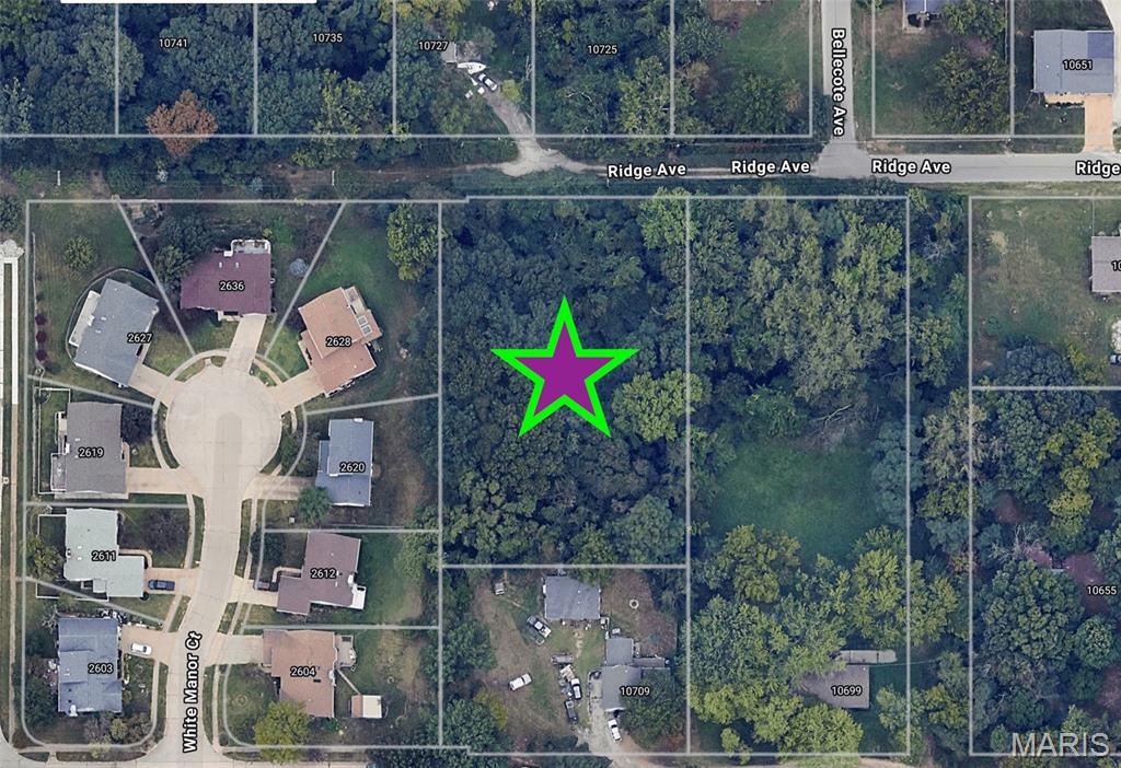 10726 Ridge Avenue St. Louis, MO 63114 - Photo 3 of 5