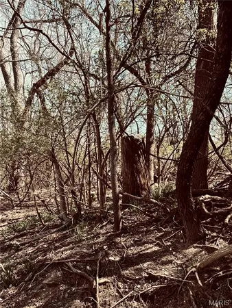 $79,000 | 10726 Ridge Avenue, St. Louis, MO 63114