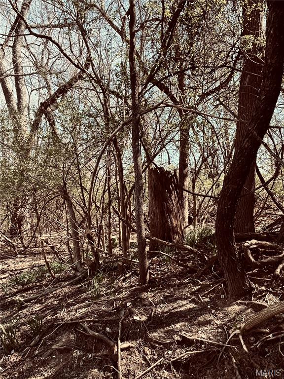 10726 Ridge Avenue St. Louis, MO 63114 - Photo 4 of 5