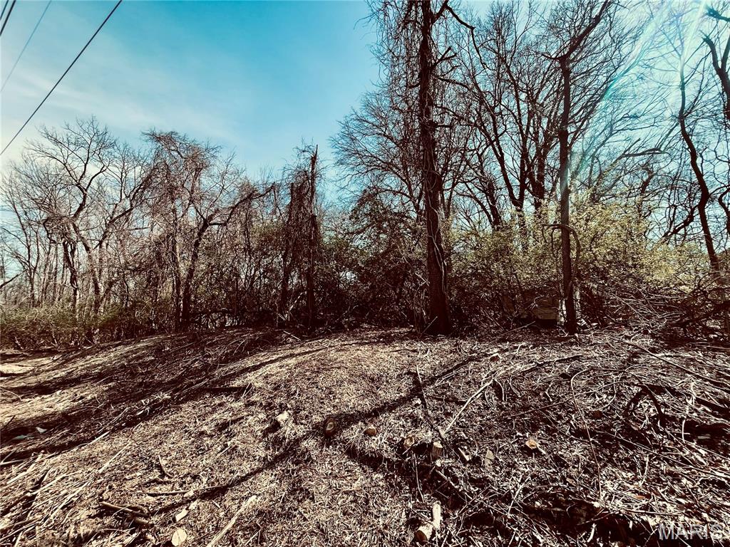 10726 Ridge Avenue St. Louis, MO 63114 - Photo 5 of 5