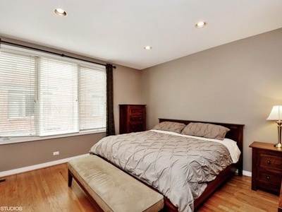310 North Clinton Street, Unit D Chicago, IL 60661 - Photo 4 of 13