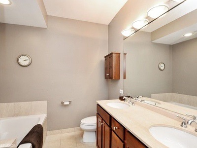310 North Clinton Street, Unit D Chicago, IL 60661 - Photo 5 of 13