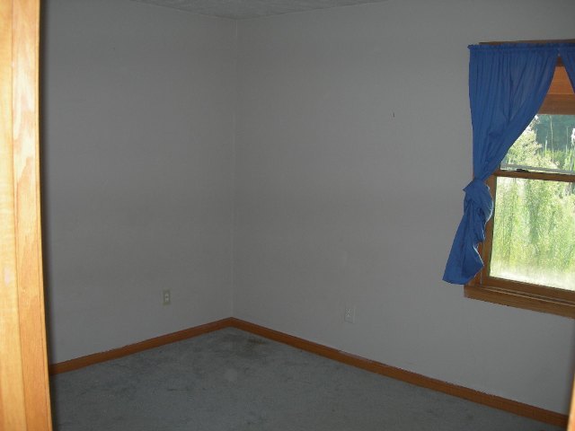 16155 King Road Danvers, IL 61732 - Photo 3 of 10