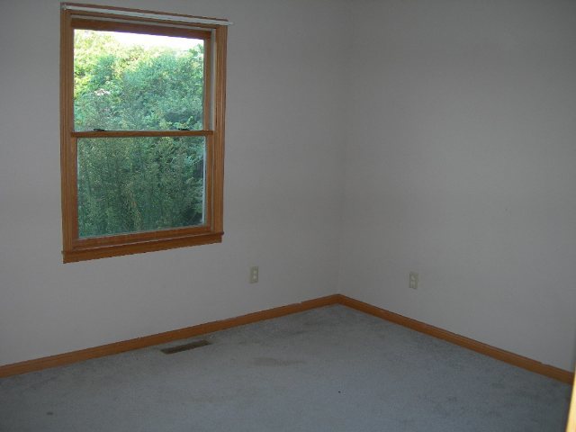 16155 King Road Danvers, IL 61732 - Photo 4 of 10