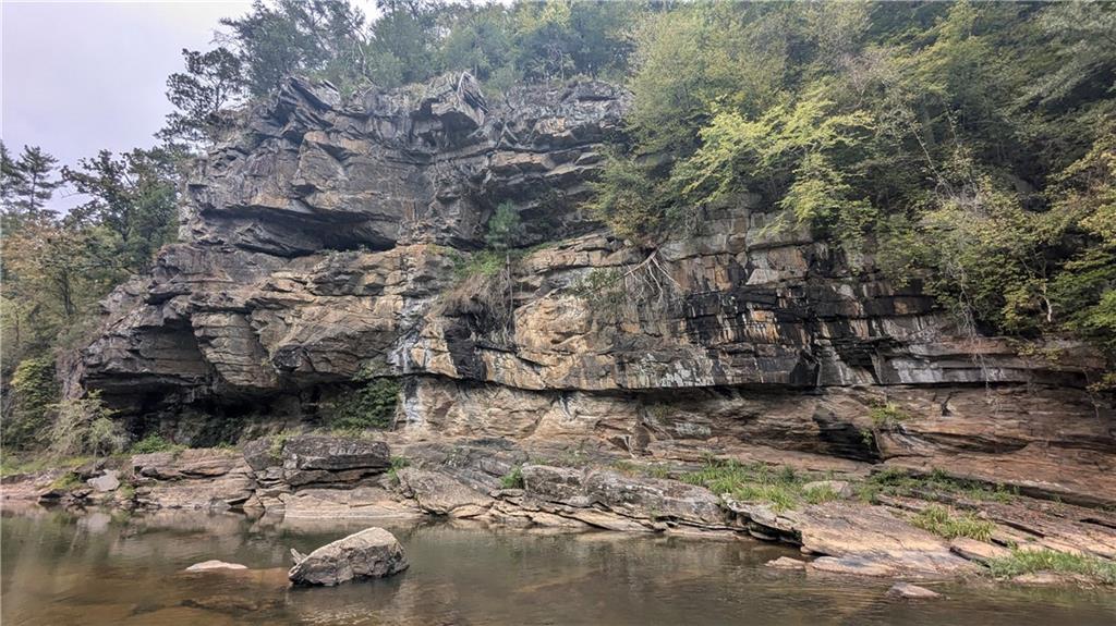 278 Adair Drive Ranger, GA 30734 - Photo 15 of 23 a view of a yard with trees