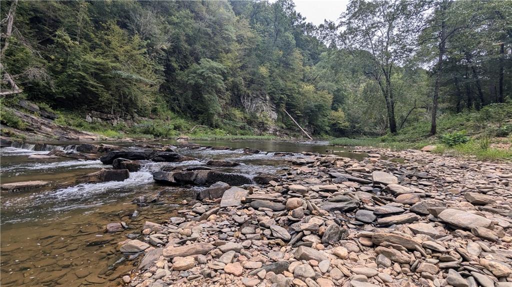 278 Adair Drive Ranger, GA 30734 - Photo 16 of 23 a view of a forest with trees