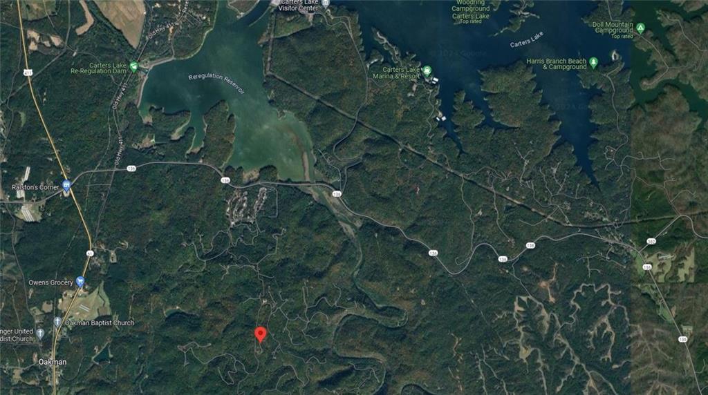 278 Adair Drive Ranger, GA 30734 - Photo 2 of 23 a picture of tree