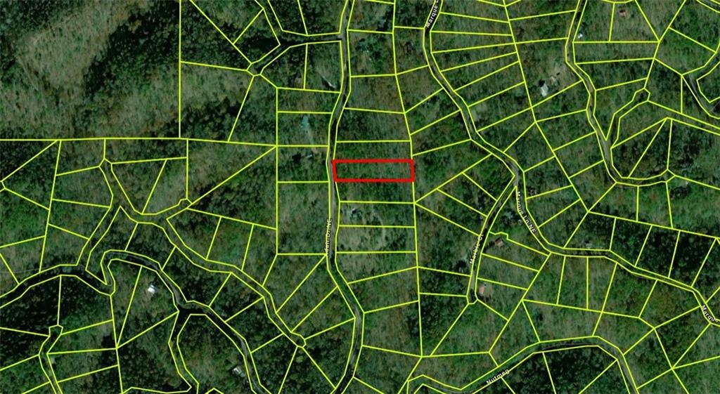 278 Adair Drive Ranger, GA 30734 - Photo 3 of 23 a view of a door and blue plant