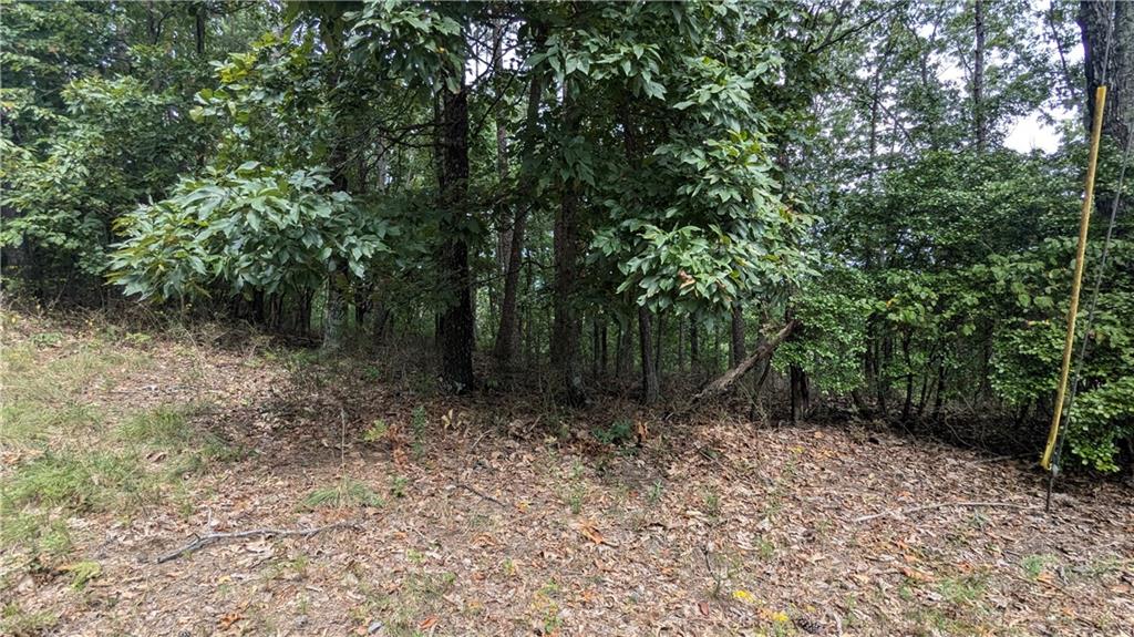 278 Adair Drive Ranger, GA 30734 - Photo 4 of 23 a view of a forest with trees in the background
