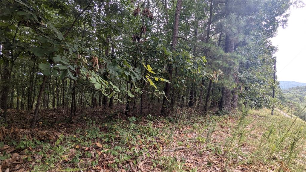 278 Adair Drive Ranger, GA 30734 - Photo 5 of 23 a view of a yard