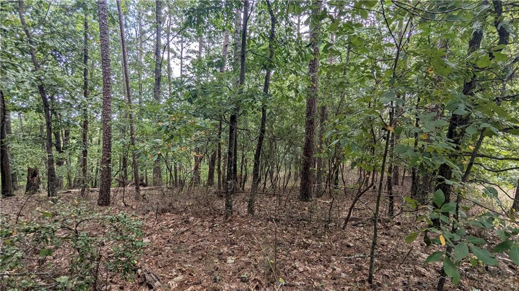 278 Adair Drive Ranger, GA 30734 - Photo 6 of 23 a view of outdoor space and green space