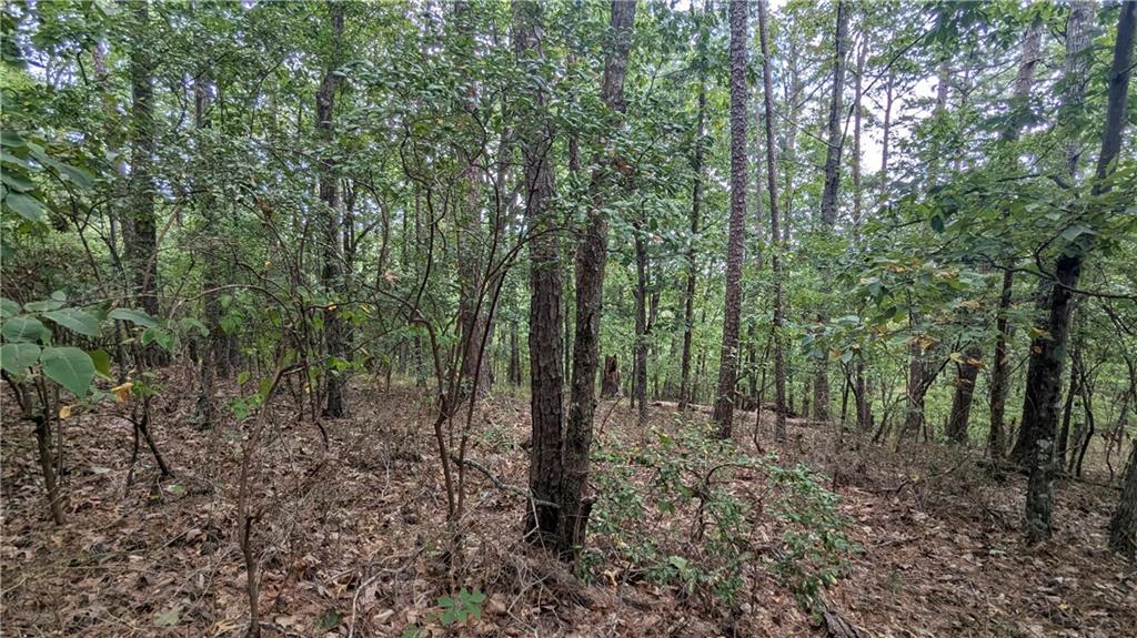 278 Adair Drive Ranger, GA 30734 - Photo 7 of 23 a view of outdoor space and green space