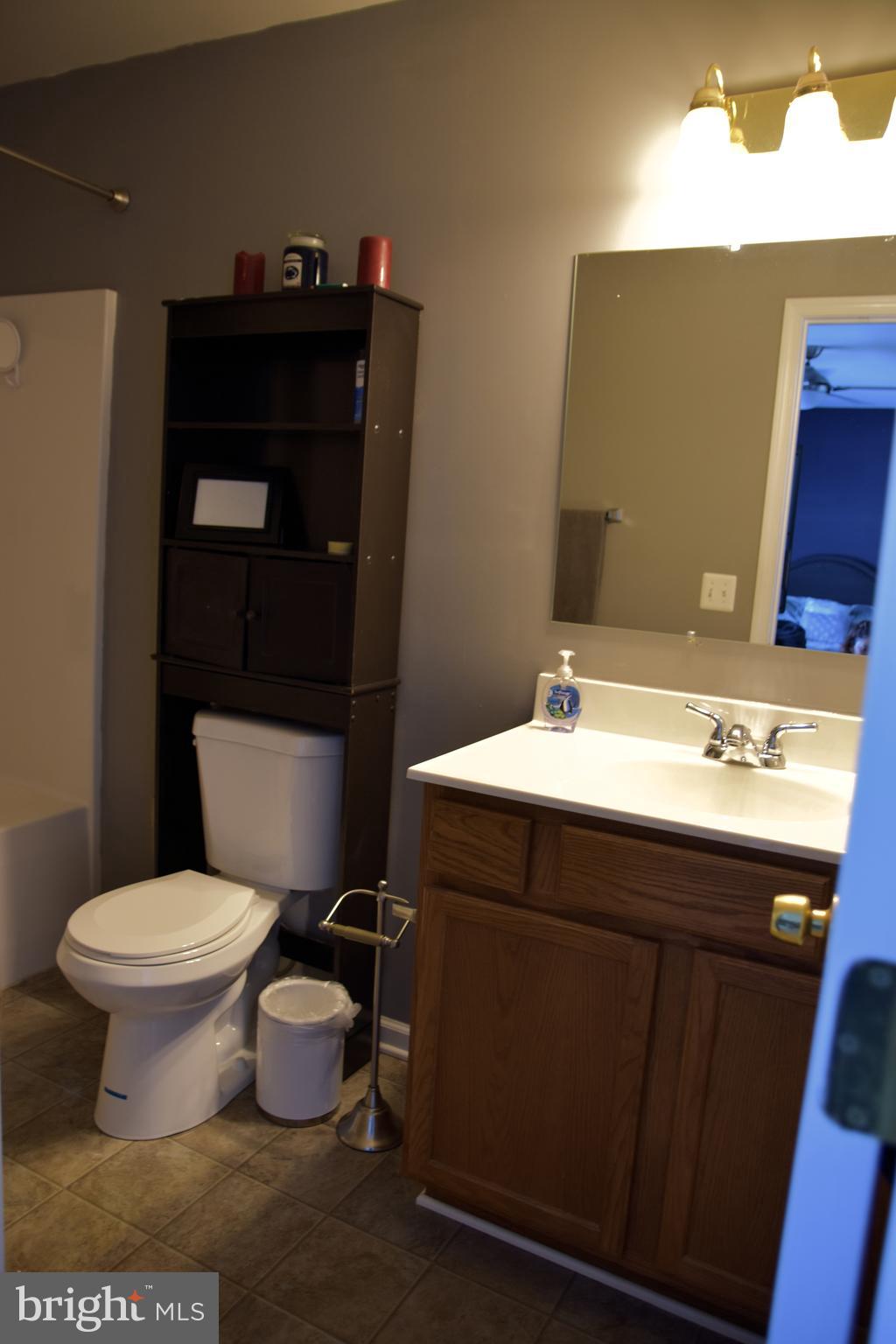 10043 Meetze Road Midland, VA 22728 - Photo 18 of 39 master bath