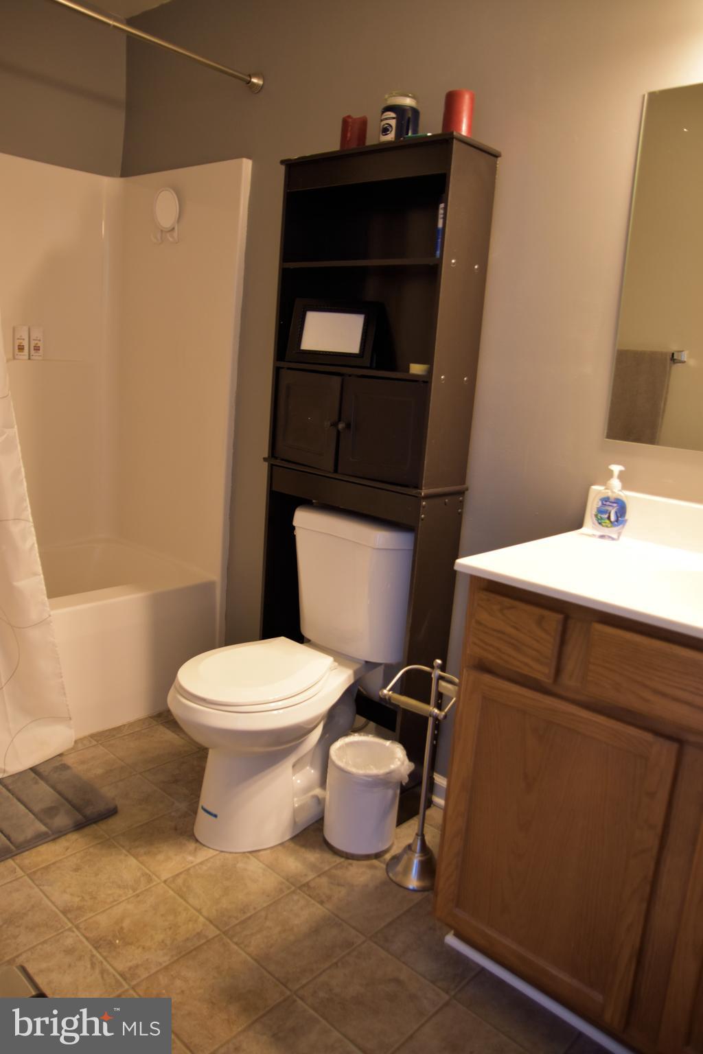 10043 Meetze Road Midland, VA 22728 - Photo 19 of 39 master bath