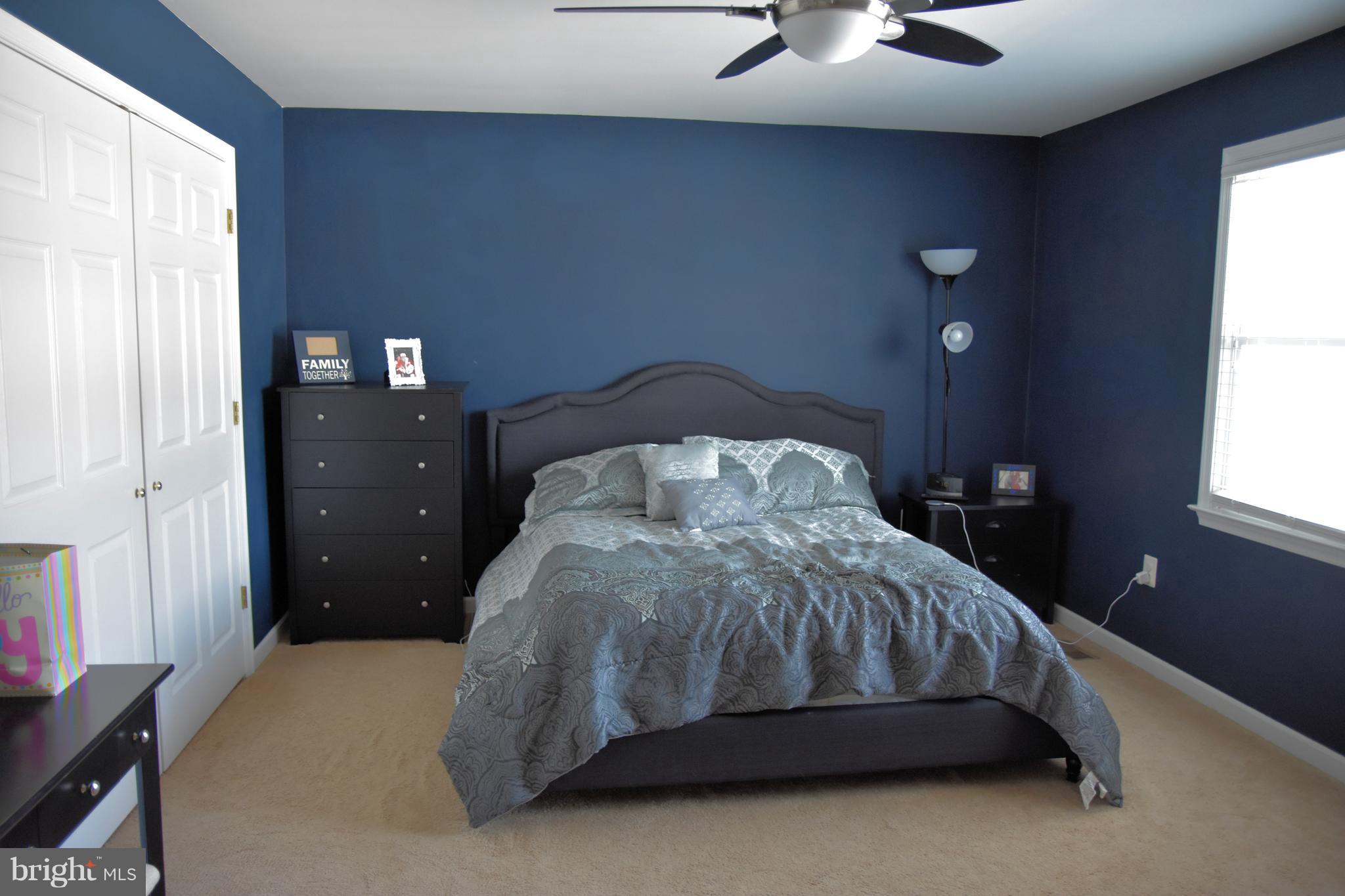 10043 Meetze Road Midland, VA 22728 - Photo 5 of 39 master bedroom