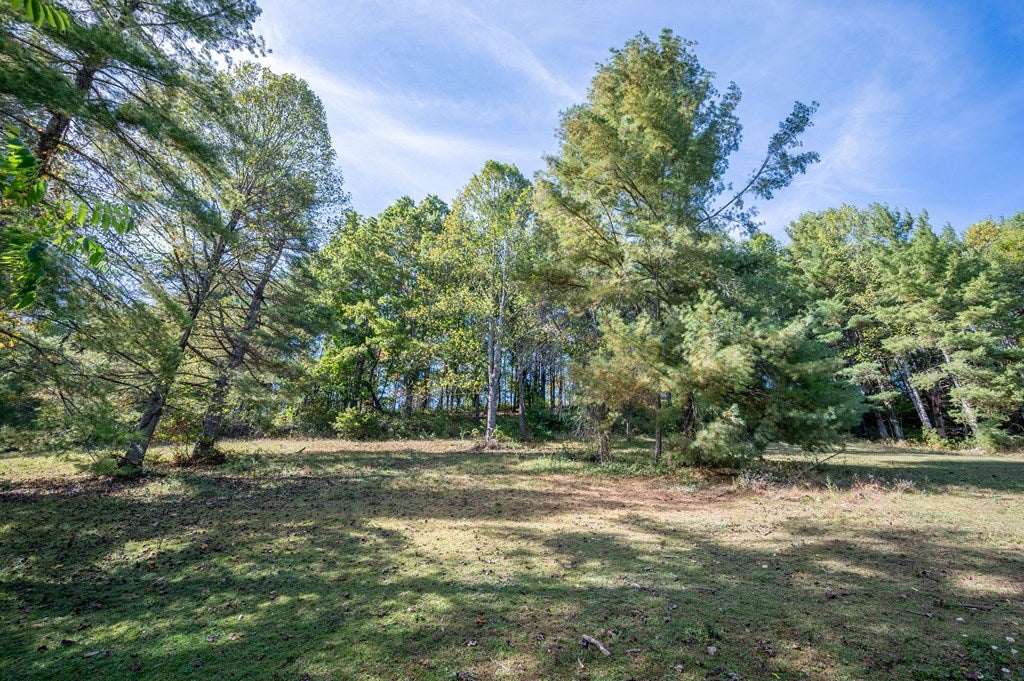 749 Knight Road Rural Retreat, VA 24368 - Photo 50 of 76 Gallery Image 50