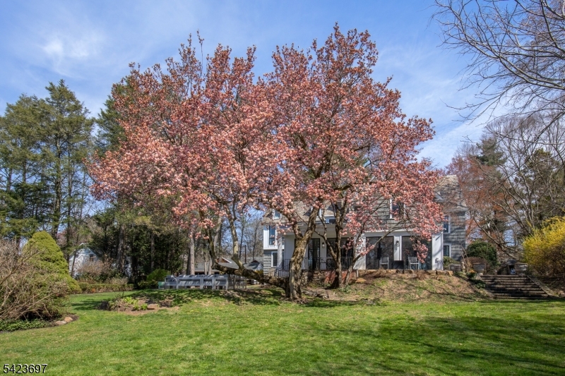 45 Village Road New Vernon, NJ 07976 - Photo 3 of 49 a view of a backyard with plants and trees