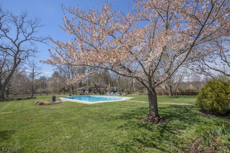 45 Village Road New Vernon, NJ 07976 - Photo 4 of 49 a view of outdoor space with trees all around
