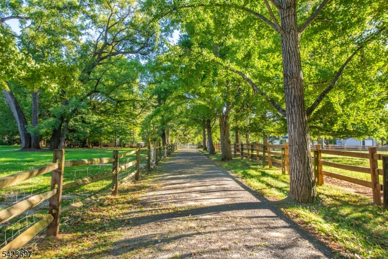 45 Village Road New Vernon, NJ 07976 - Photo 49 of 49 a view of a yard with large trees