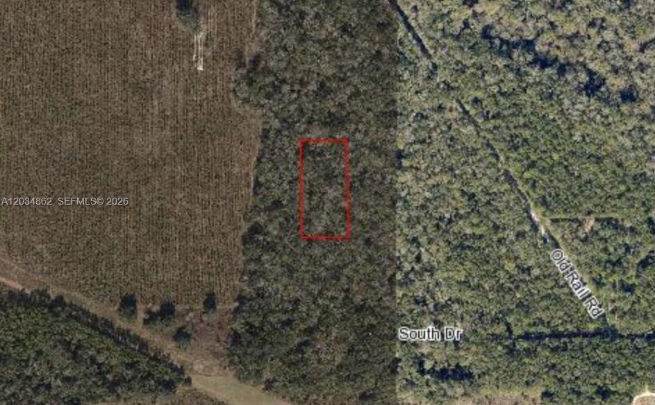 O Northwest Possum Path Mayo, FL 32066 - Photo 3 of 6