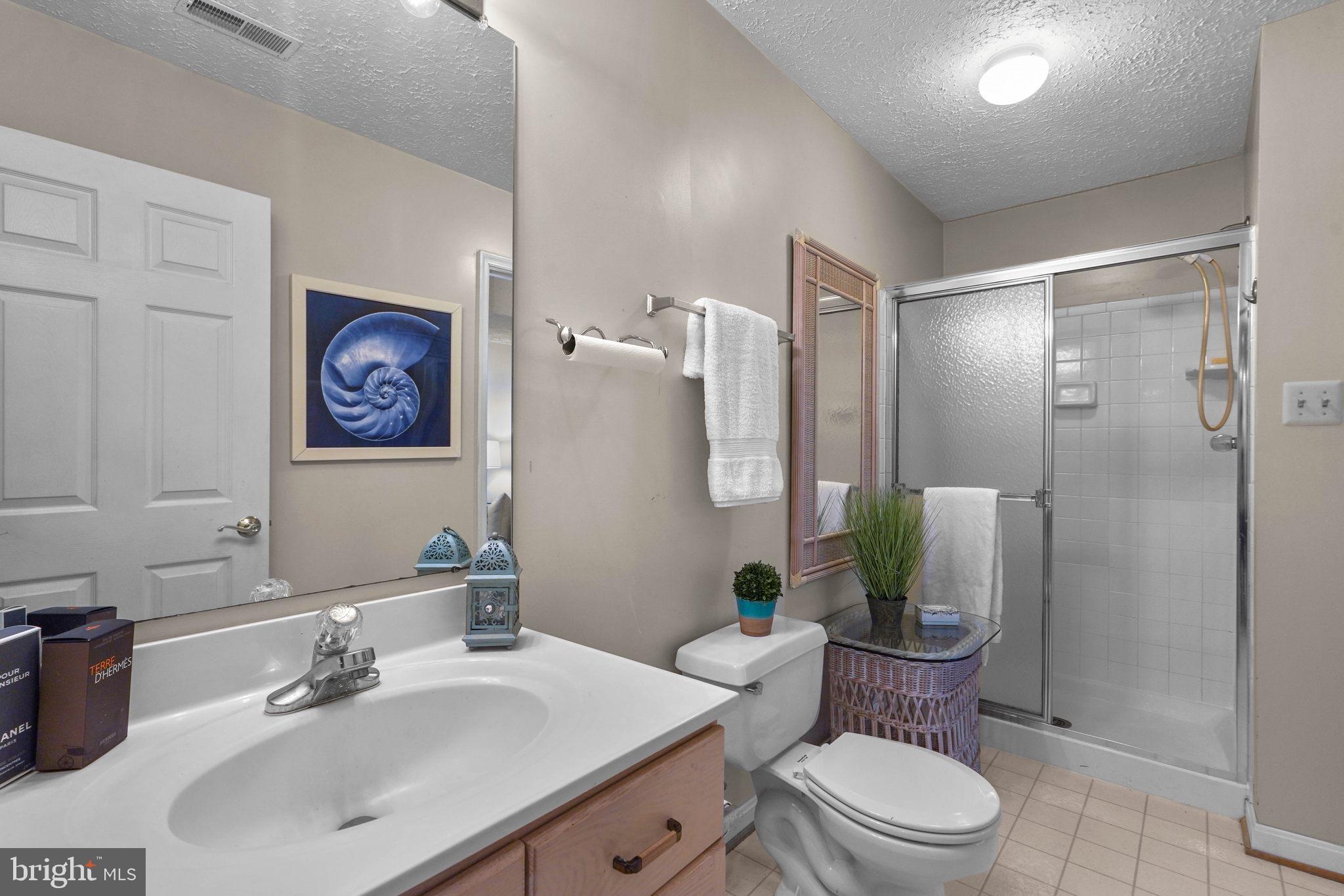 607 Lycoming Street Silver Spring, MD 20901 - Photo 43 of 70 Lower level full bathroom with dual entry