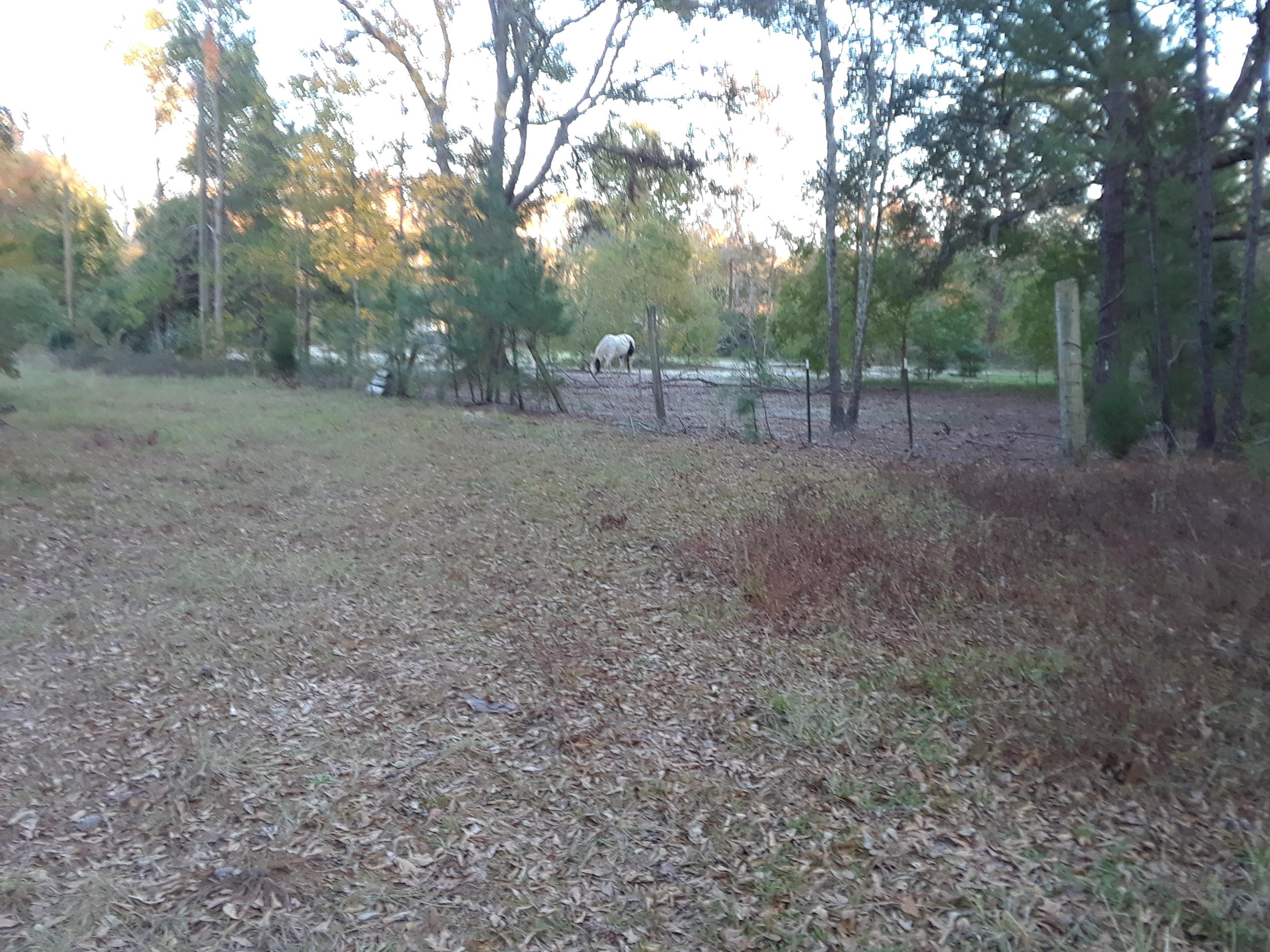 607 Main Road Johns Island, SC 29455 - Photo 1 of 1 607 Main Rd, Photo, 12-10-19