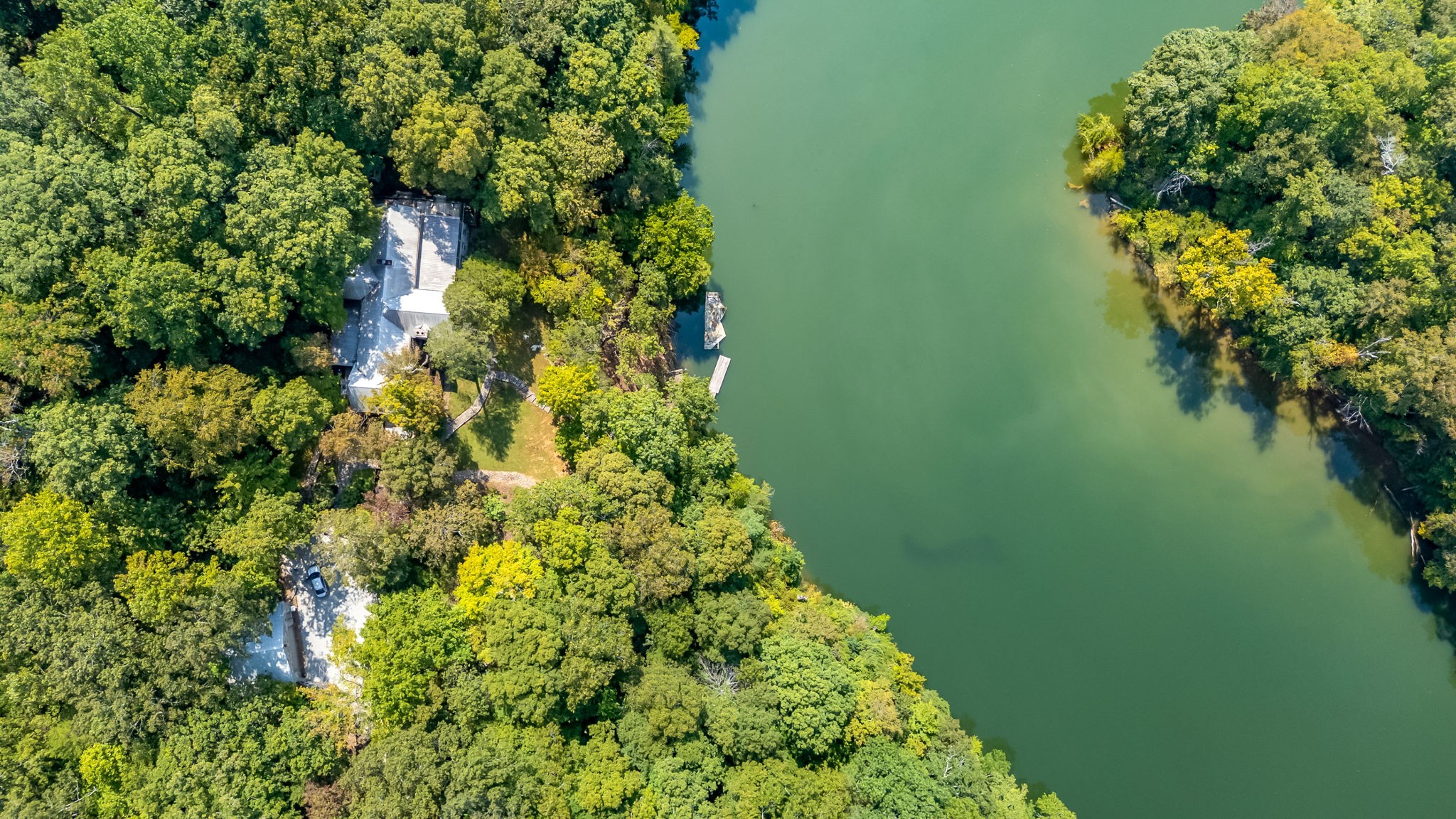 a plant that is in a garden