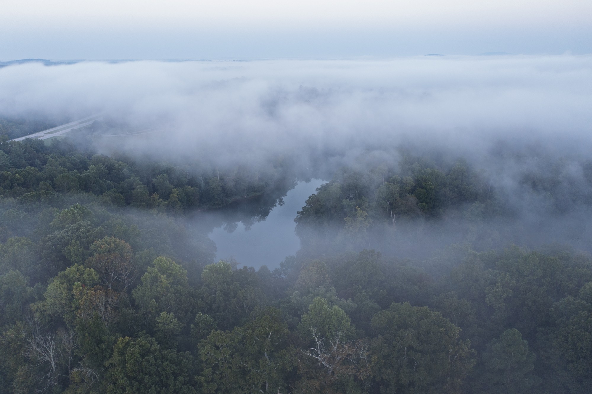 658 Moore Road Doyle, TN 38559 - Photo 16 of 92 a view of a yard