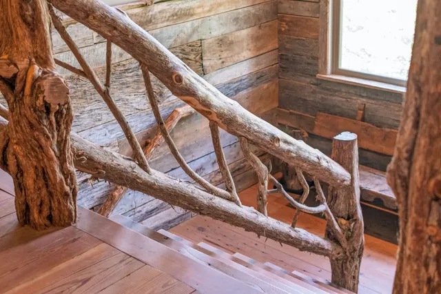 a view of a flower in a garden