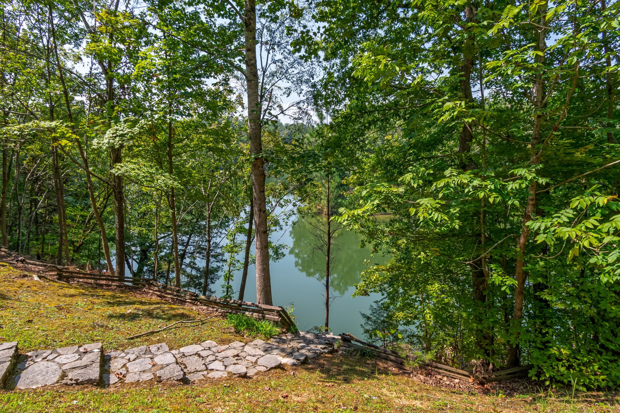 658 Moore Road Doyle, TN 38559 - Photo 41 of 92 a view of a yard with plants and trees