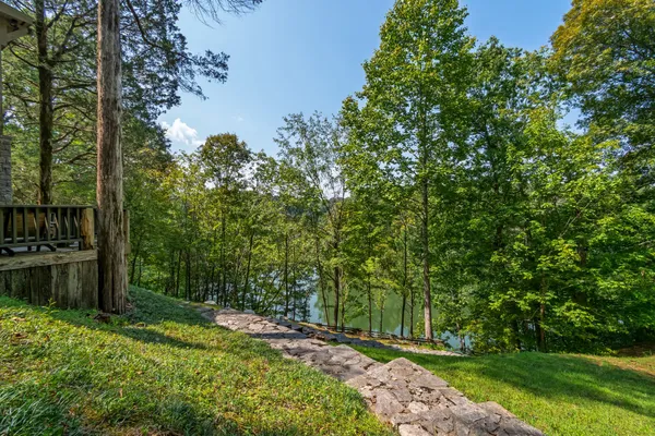 a close view of a stove